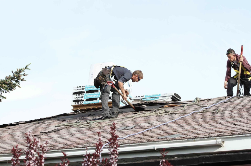 flat roof repair nj