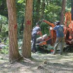 Stump Eater Tree Service: Transforming Your Landscape One Stump at a Time